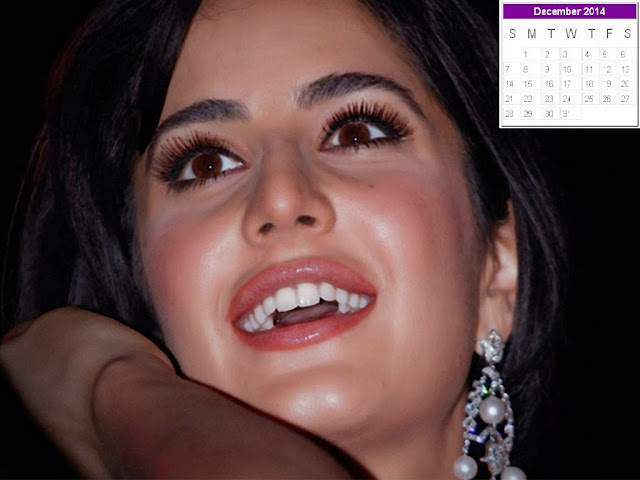 Katrina Kaif Calendar 2014