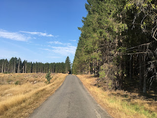 Bornholm na rowerze, trasy rowerowe wzdłuż lasów, łatwe trasy rowerowe dla dzieci na Bornholmie