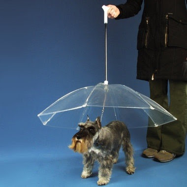 Umbrella for Dogs