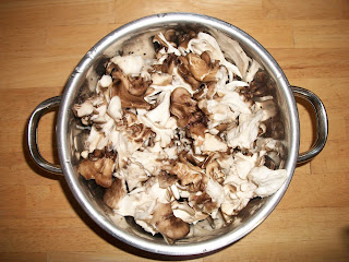 Maitake Mushroom Cleaned and Cut