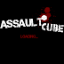لعبة AssaultCube القتالية مع السرفر