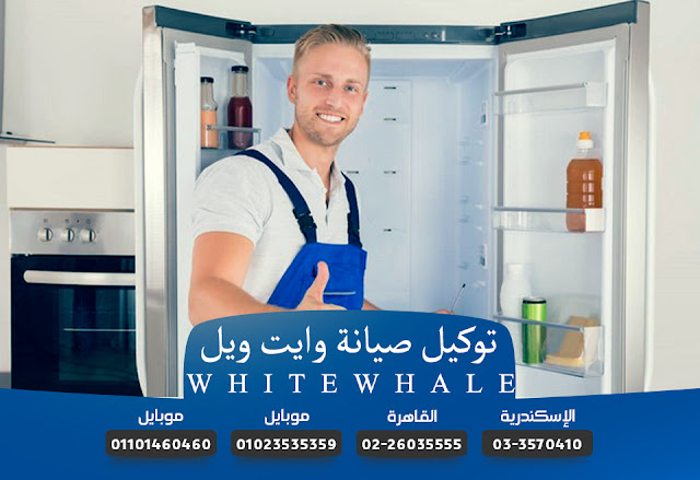 صيانة وايت ويل بالإسكندرية