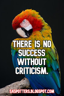 There is no success without criticism.