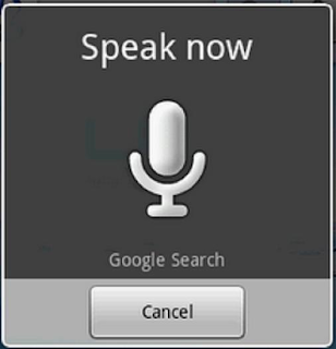 VoiceSearchLogo.jpg