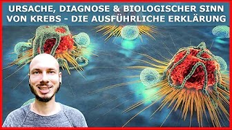 Ursache, Diagnose und Biologischer Sinn von KREBS - Die ausführliche Erklärung!
