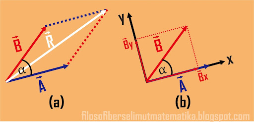 Materi fisika kelas 10 : vektor (Lengkap dengan contoh soal)