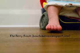The Berry Bunch: My Baby is NOT a Baby! {potty trained! and a quick round-up}