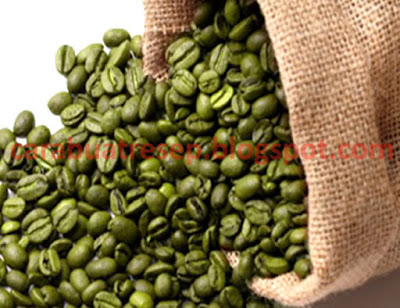 CARA MEMBUAT KOPI HIJAU GREEN COFFEE BEAN EXTRACT  Resep 