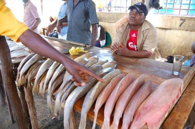 Maputo Fish Market