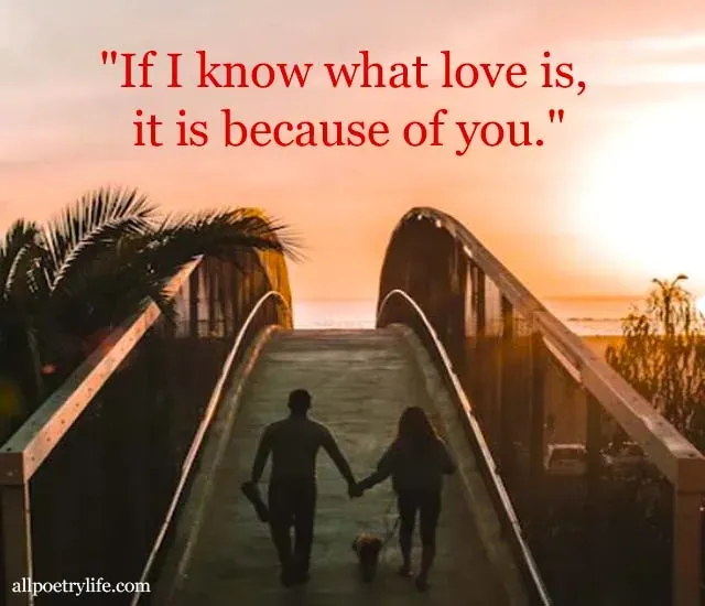 i-love-you-quotes-in-english