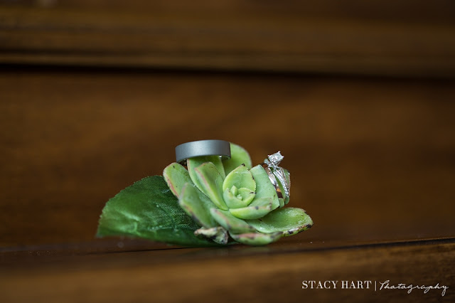 Copyright Stacy Hart Photography - Wedding Photographer