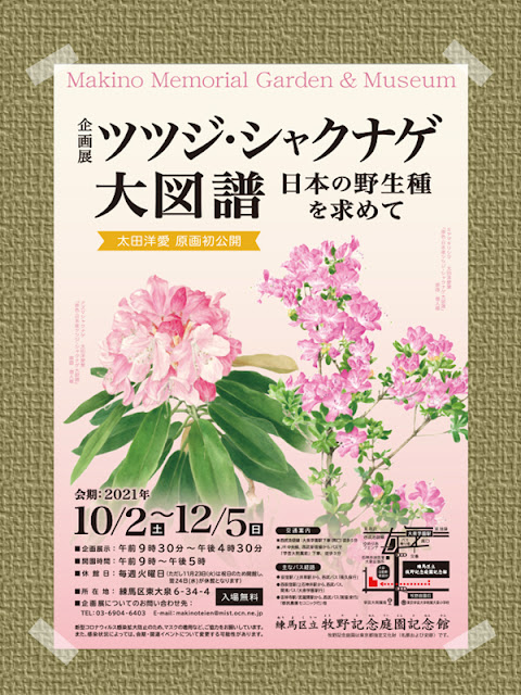 練馬区立 牧野記念庭園記念館 で令和3年12月05日まで開催される企画展のチラシポスター