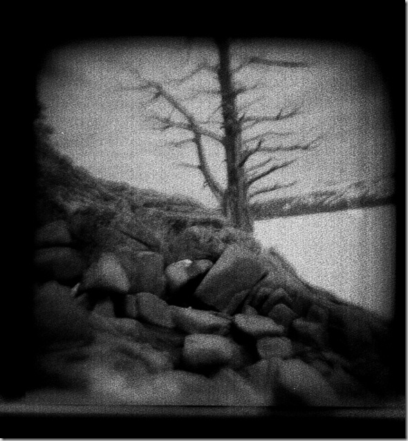 contact_sheet_010