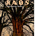 Livro "Kaos"