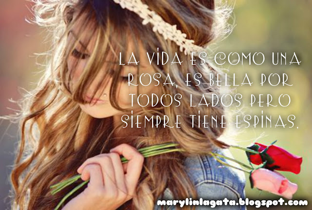 La vida es como una rosa,🌺🌹 es bella por todos lados pero siempre tiene espinas. Vívela con cuidado y si por casualidad te lastima una, no veas la cicatriz como algo que te dolió, sino como una experiencia para ser mejor.