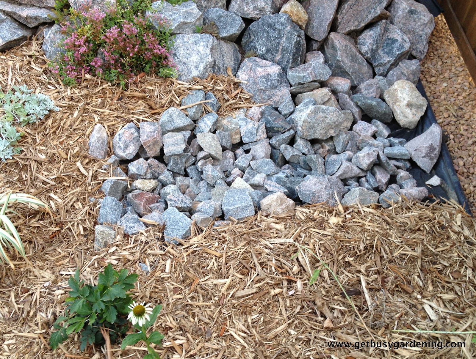 Rain Garden Done Get Busy Gardening