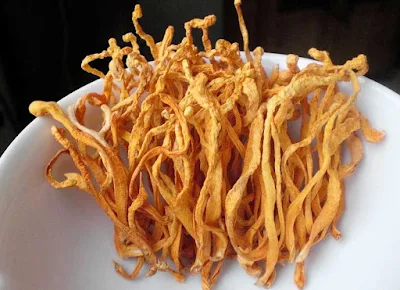 Cordyceps militaris market in India