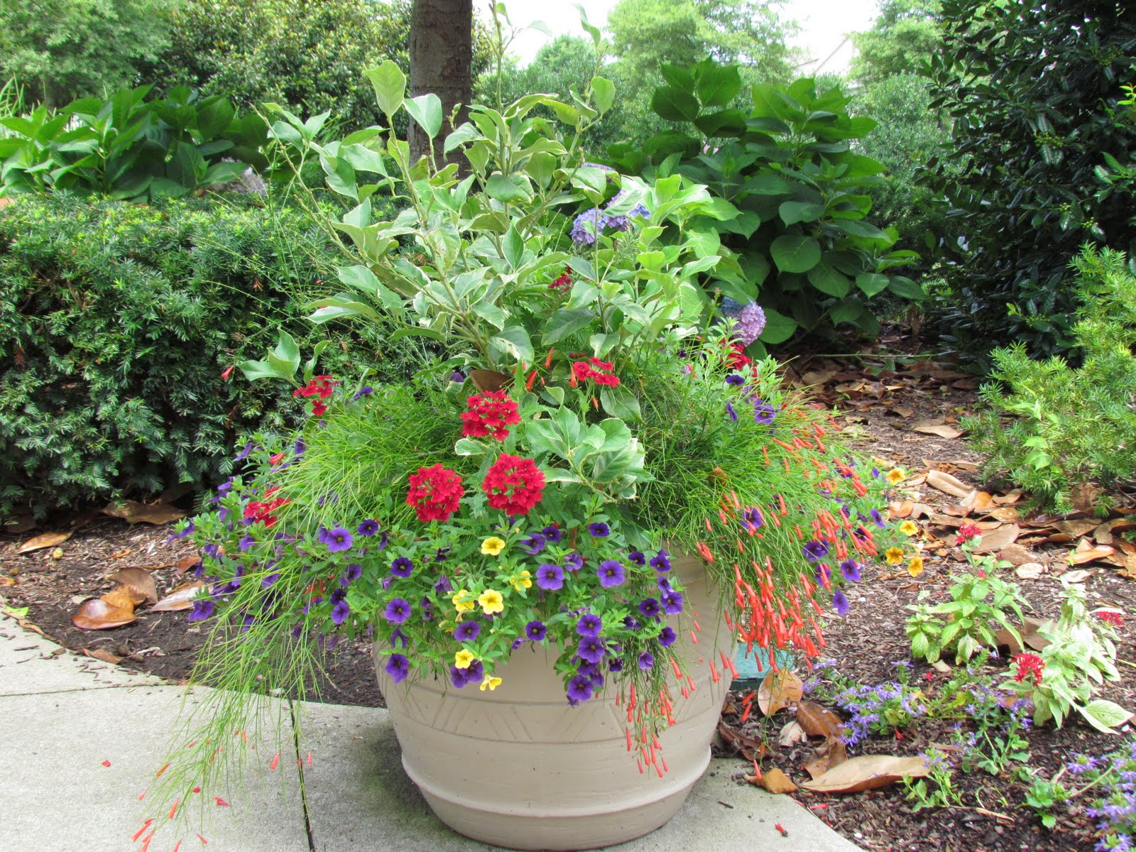 Container Garden