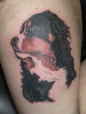 Tattoos On Dogs. Dog Tattoos