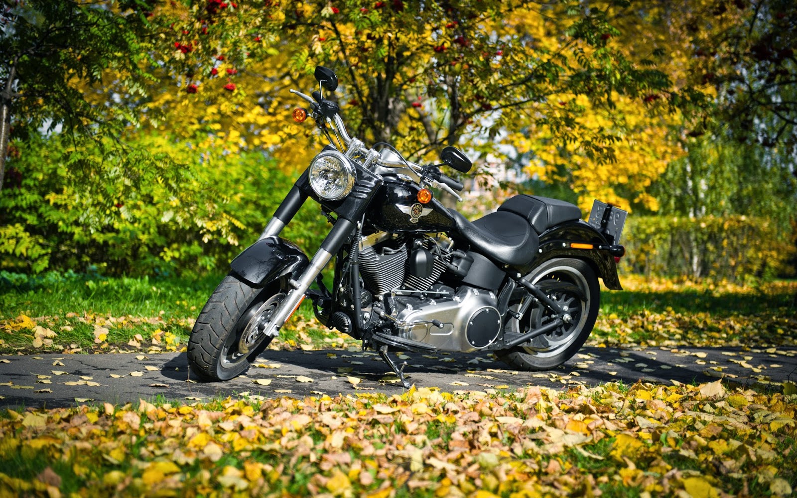 Kumpulan 87 Gambar Motor Harley Davidson Keren Terkeren Bamboe Modif