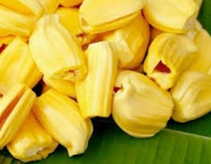  The benefit of jackfruit Jackfruit nutrition facts