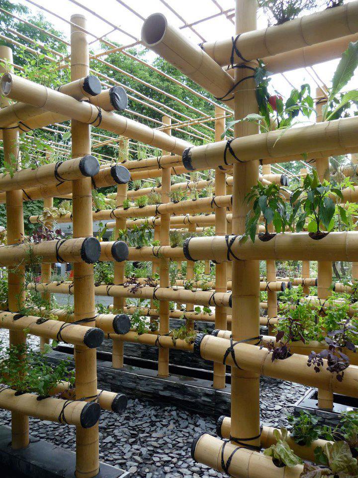 Growing Plants Vertically Using Bamboo