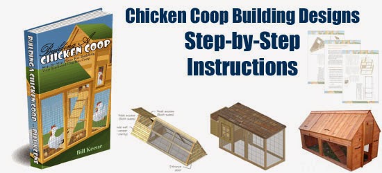 Free Printable Chicken Co-op Plans