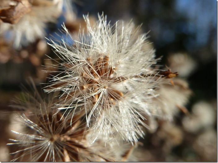 P1180048