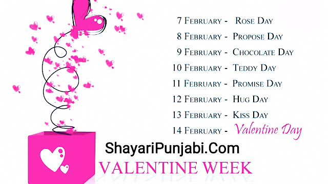 Valentine Day Shayari In Hindi 2 Line