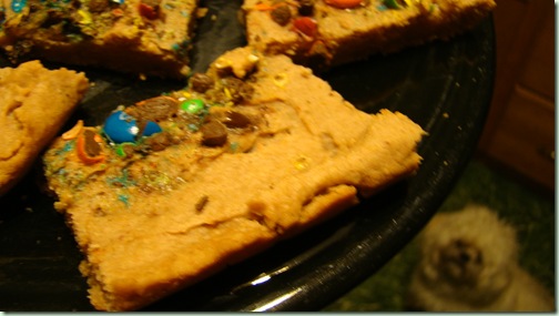 food2 041