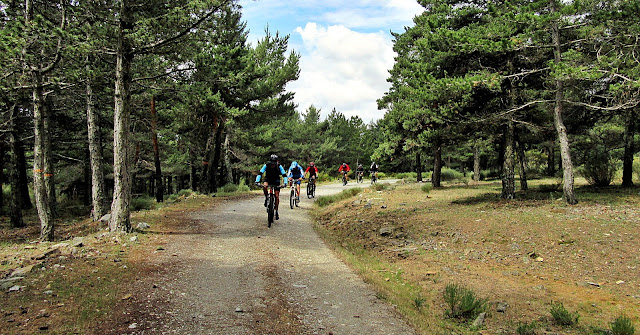 Pinarejo - Embalse Tobar