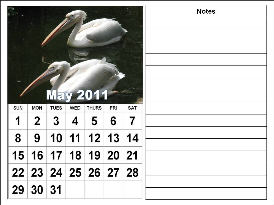 may 2011 calendar page. education calendar page