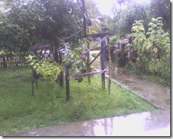 Photo-0103_1