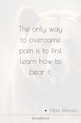 The only way to overcome pain is to first learn how to bear it.