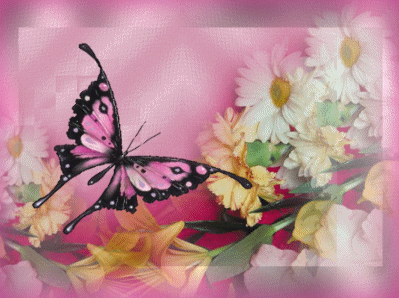 animasi kupu-kupu bergerak lucu terbang cantik gif | Akuntt.com