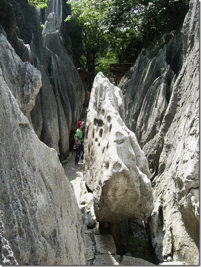 P1070733