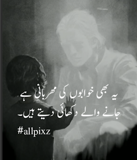 poetry in urdu 2 lines