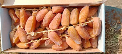 WHOLESALE DEGLET NOOR DATES A BUSINESS GUIDE TO SUCCESS