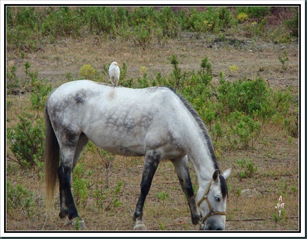 DSC02790H9bBW
