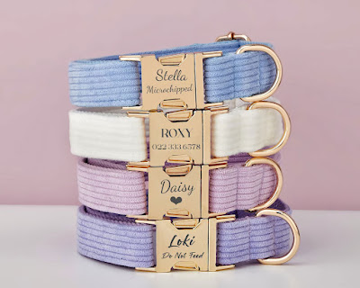 A set of 4 corduroy dog collars in pastel colours with the dog's name engraved on the gold-coloured buckle