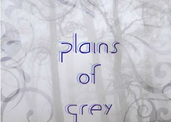Redo: Plains of Grey by Jane Lewis