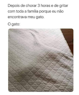 Título de um post: Depois de chorar três horas e de gritar com toda a família porque eu não encontrava meu gato.  O gato:   Descrição: Foto vista de cima de parte de uma cama coberta por uma colcha em matelassê branco com uma saliência em forma de um gato deitado.