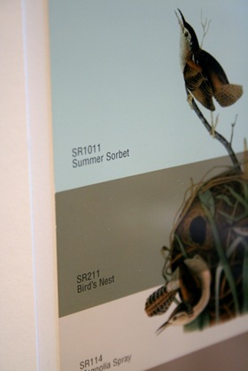 Bird's Nest detail 72