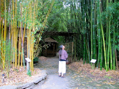 Bamboo Landscape Design