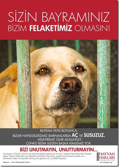 haytap_bayram_1