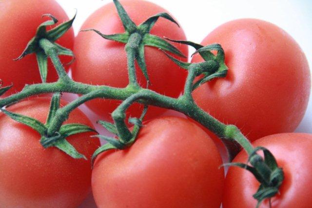 Tomates en rama