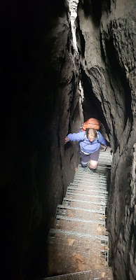 In der Falkenschlucht