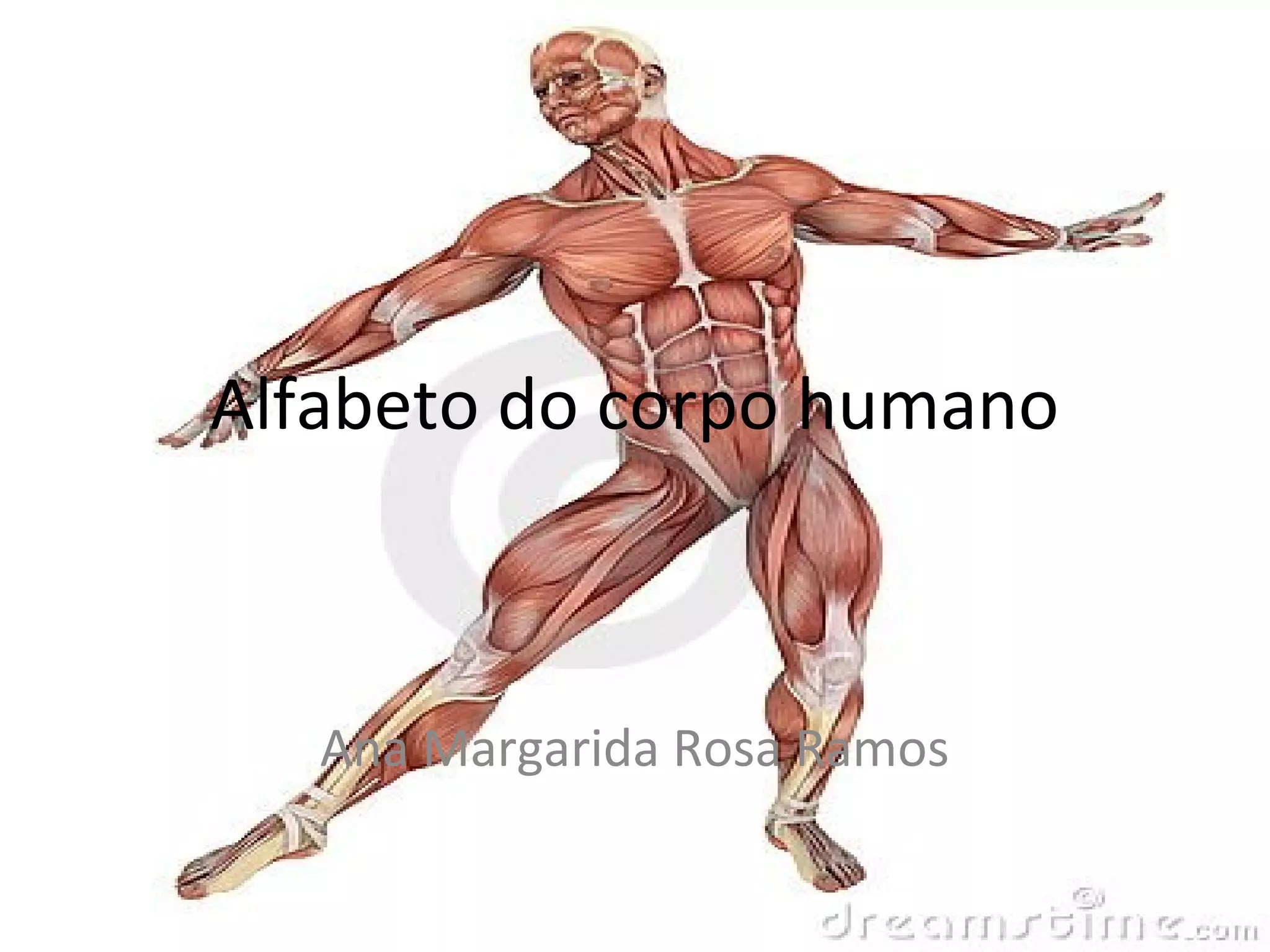 ALFABETO DO CORPO HUMANO