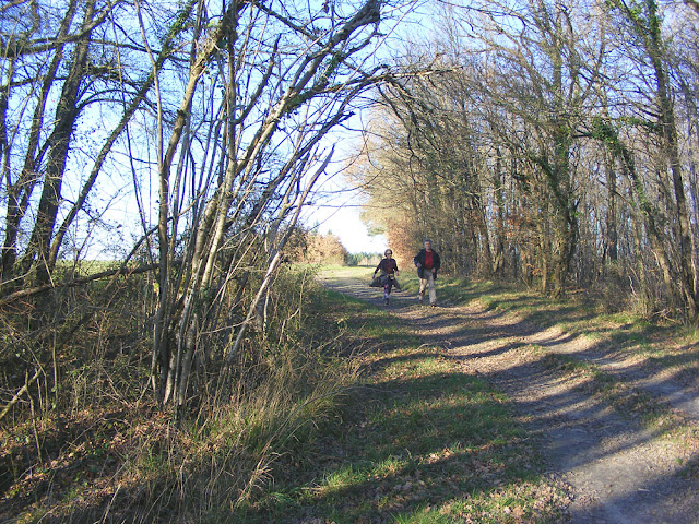 Walking down a rural track.  Indre et Loire, France. Photographed by Susan Walter. Tour the Loire Valley with a classic car and a private guide.