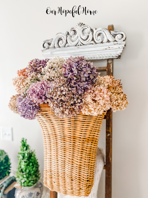 large French wall basket hanging dried hydrangeas